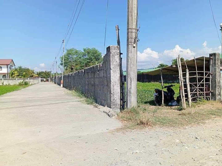 Clean Titled  Lot with Fence FOR SALE along cemented Barangay Road at Bauang, La Union