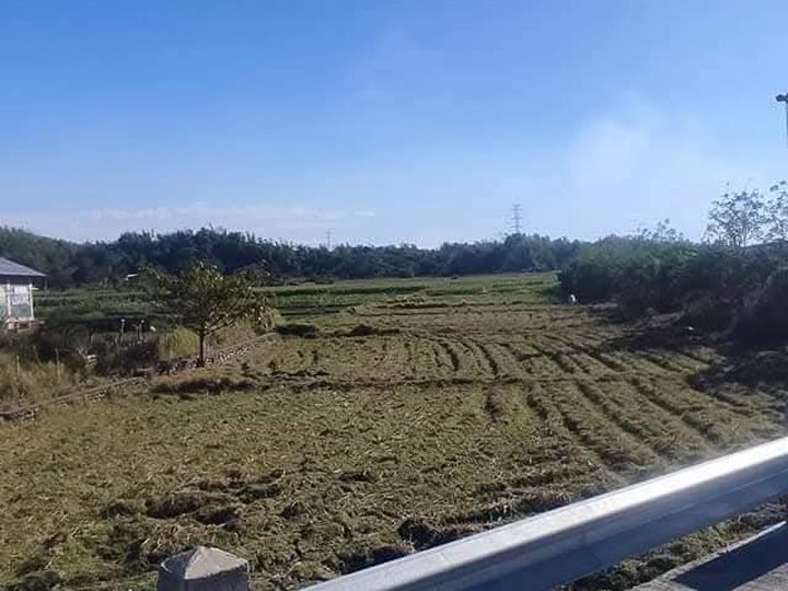 Clean Titled  Residential/Commercial Lot FOR SALE along Diversion Road at Candon City, Ilocos Sur