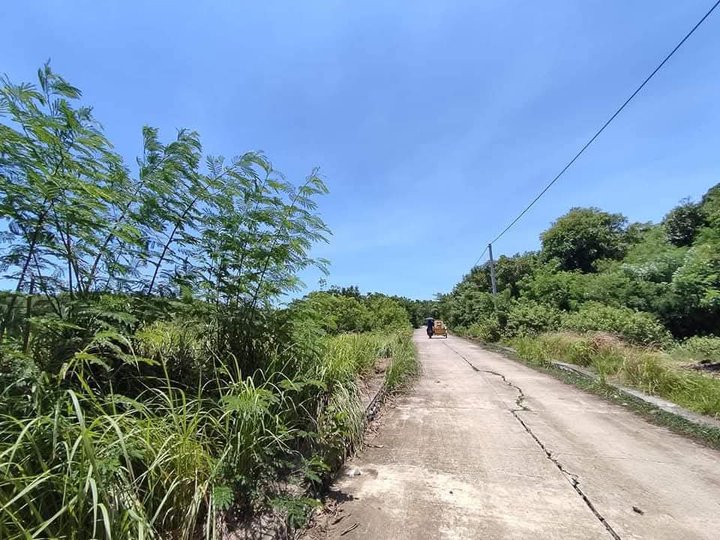 AFFORDABLEClean Titled Raw Land ideal for Farming/Residential FOR SALE at Candon City, Ilocos Sur