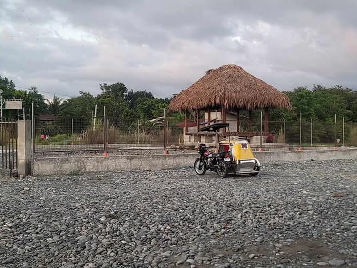 Titled w/ Tax Declaration  Lot w/ Nipa hut FOR SALE along Barangay Road at Bangar, La Union