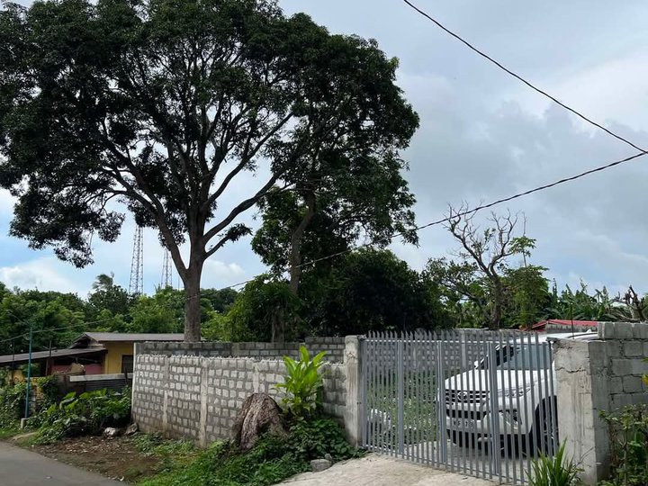 1,192 sqm Farm Lot For Sale in Alfonso Cavite