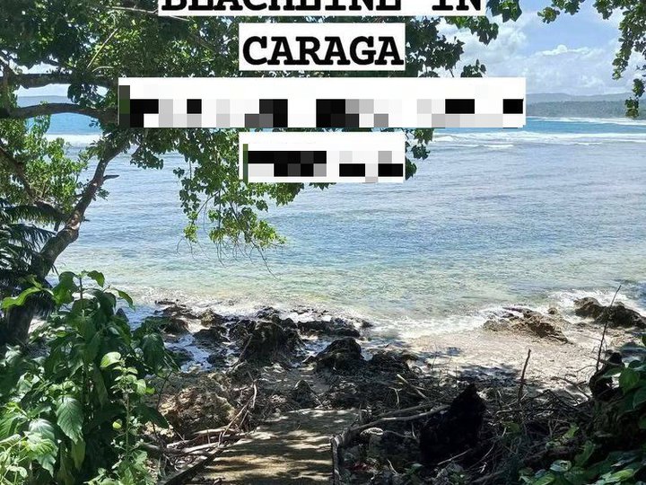 200 sqm Beach Property For Sale in Caraga Davao Oriental