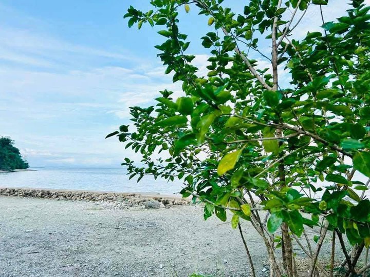 1,000 sqm Beach Property For Sale in Buenavista Quezon