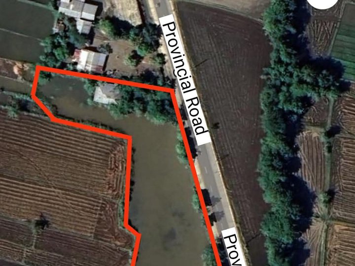 Clean Titled Lot/Land FOR SALE along wide cemented road in a Flood Free Area at Cabugao, Ilocos Sur