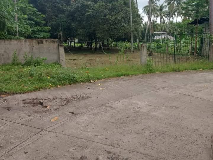 2,555 sqm Residential Lot For Sale in Valencia Luzurriaga Negros Oriental