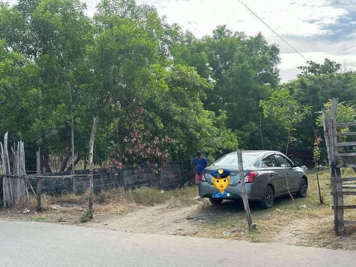 Clean Titled  Residential Lot FOR SALE along cemented Brgy road at Binmaley, Pangasinan