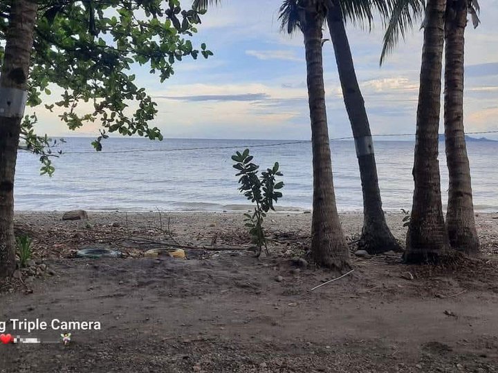 Own this semi rest house, with native bamboo house fronting the shore of dauin