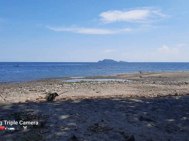 Own this property, very beatiful beach lot with access from naional highway, clean title