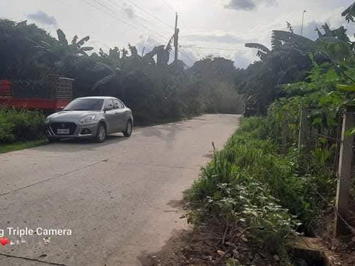 Own this lot along the minicipal road, where you can build your dream home