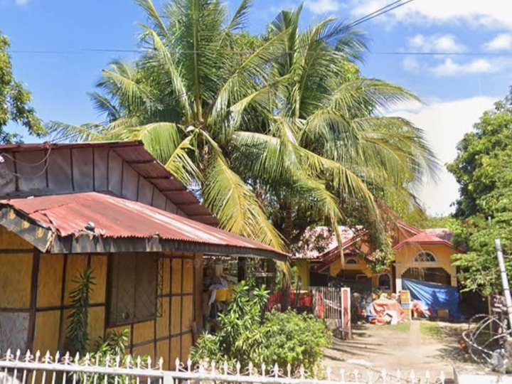 Clean Titled  House and Lot w/ Nipa Hut FOR SALE in a Flood Free Area at San Fabian, Pangasinan