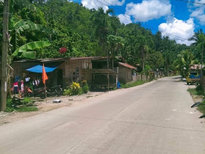 75 sqm Residential Titled Lot For Sale Along provincial l highway Danao City