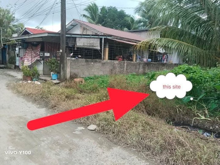 200 sqm Residential Lot For Sale in Tagum Davao Del Norte