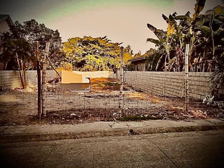 Good for Apartment and Residential Dumaguete Lot For Sale