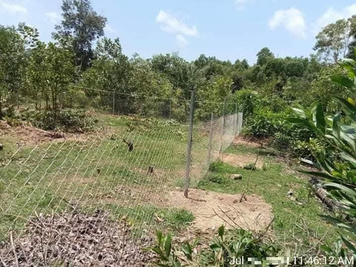 200sqm Farm Lot for Sale in Sibunag Guimaras with Fence