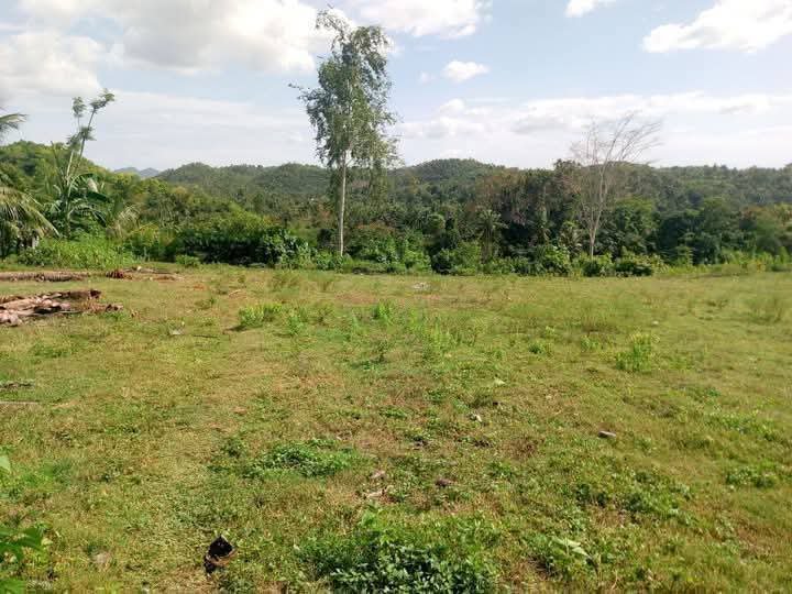 Residential Farm Lot 7200sqm