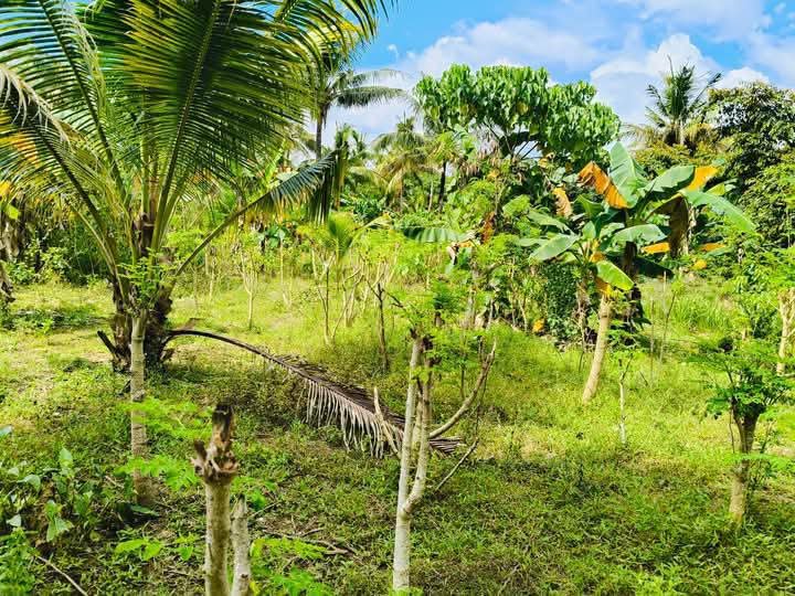 500sqm Residential Lot