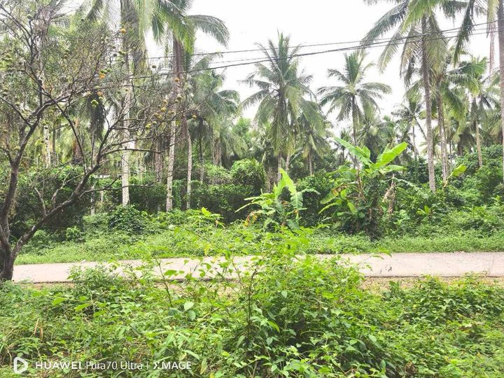 Farm Lot for Sale agricultural lot