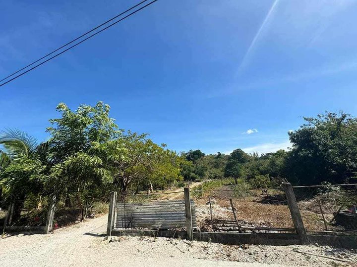 Clean Titled Lot only FOR SALE along Provincial Road near the beach at San Esteban, Ilocos Sur