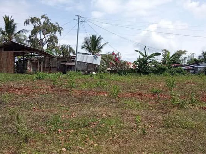 Rush sale 250sqm, fro.only 120k Tax declaration located at Gitagum.Mis.or