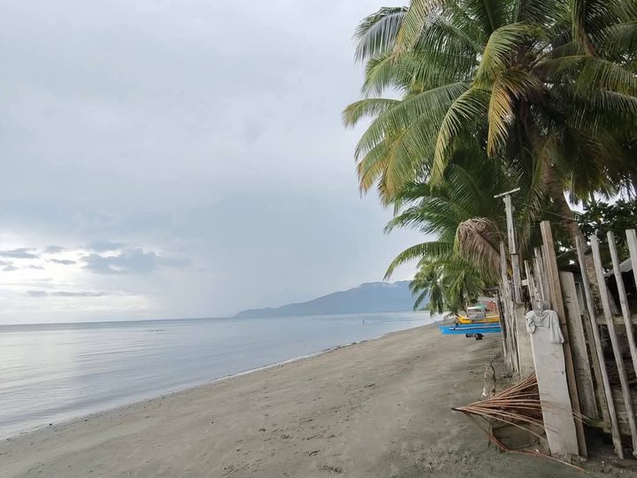400 sqm Beach Property For Sale in Banaybanay Davao Oriental