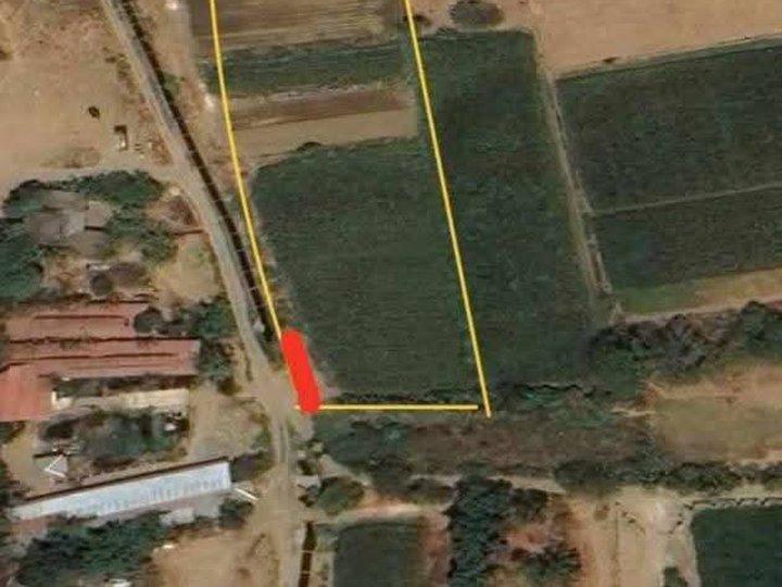 Clean Titled Residential/Farm Lot FOR SALE in a Flood Free Area at Vigan City, Ilocos Sur