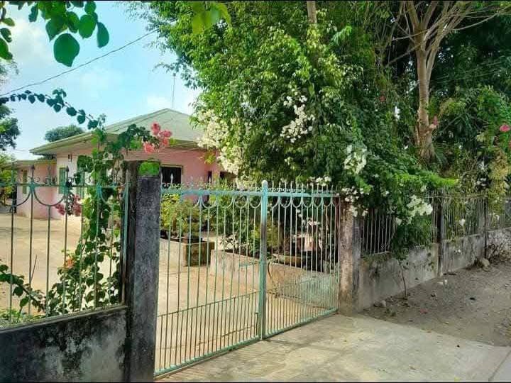 Clean Titled House and Lot FOR SALE in a Flood Free Area at San Ildefonso, Ilocos Sur