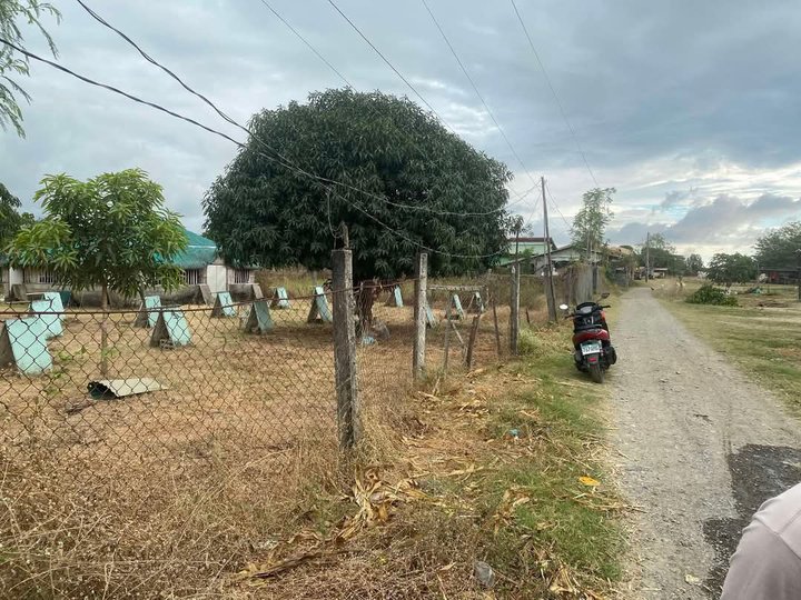 Clean Titled Lot FOR SALE in a Flood Free Area at Vigan City, Ilocos Sur