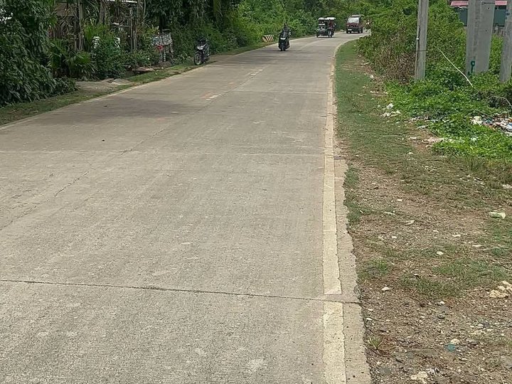 100 sqm Residential along hi way Lot For Sale in Pajo Daanbantayan Cebu