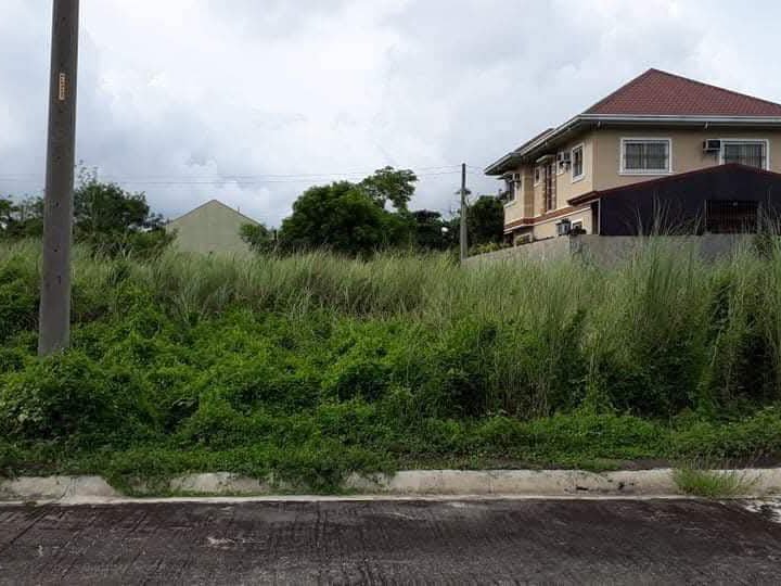 Residential Lot FOR SALE in a Safe and Secure Community at Alaminos City, Pangasinan