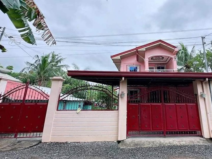 Clean Titled 2-Storey House and Lot FOR SALE in a Flood Free Area at San Fabian, Pangasinan