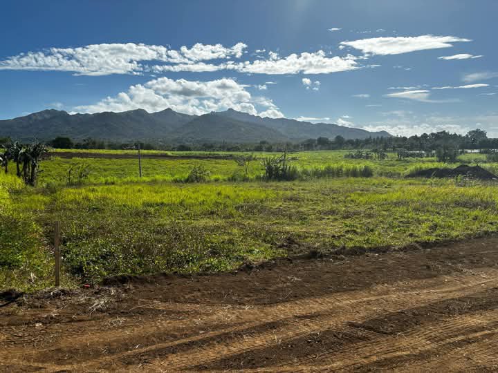 1,020 sqm Residential Farm For Sale in Tuy Batangas