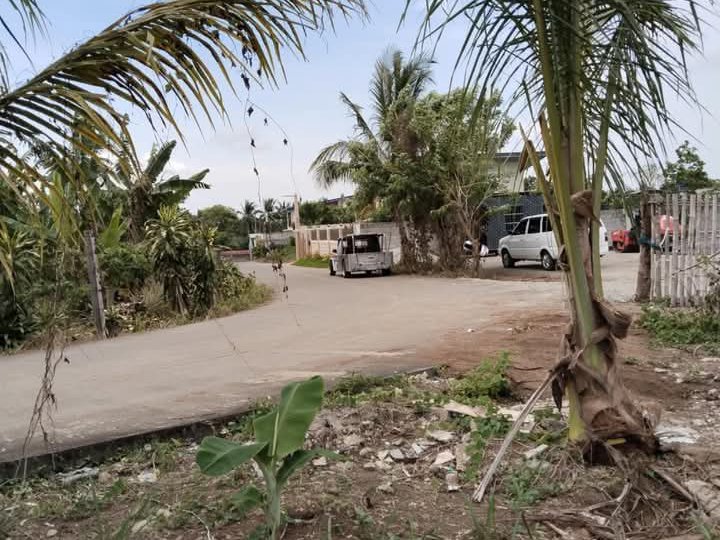 150sqm Residential Farm For Sale in Silang Cavite