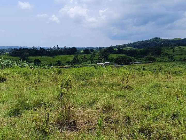 Affordable Discounted Titled Overlooking Seaview Farm Lot For Sale By Owner in Medellin Cebu