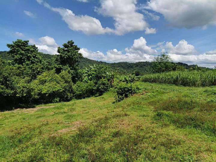 500 sqm Residential Farm For Sale in Lian Batangas