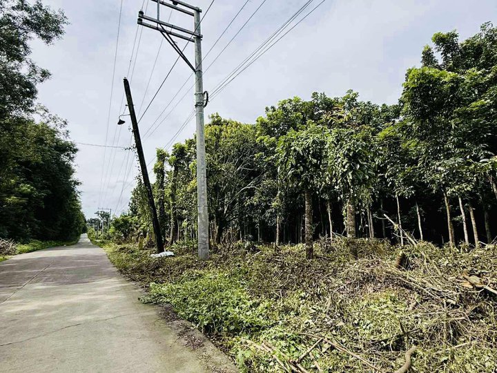 500 sqm Residential Farm For Sale in Rosario Batangas