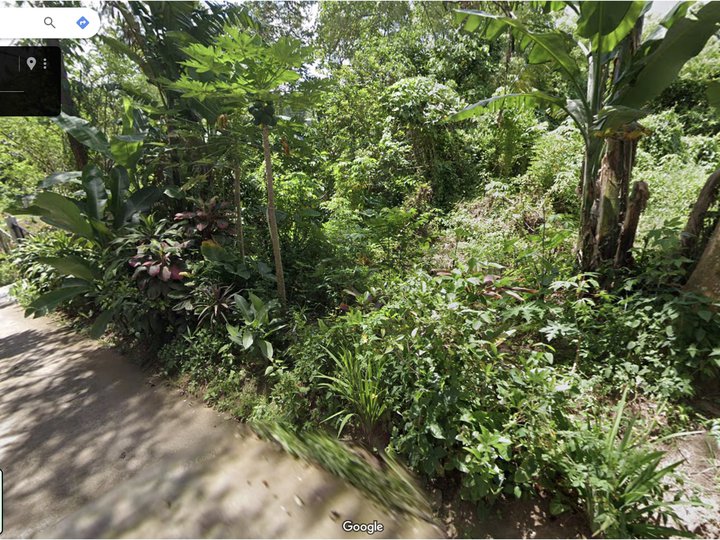 700 sqm Residential Lot For Sale By Owner in Bucal Silang Cavite