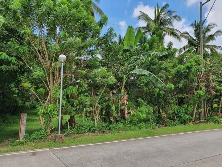 3.5hectares lot for sale Maragondon Cavite