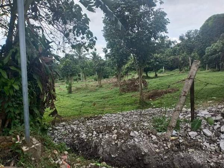 Silang Cavite Lot For Sale