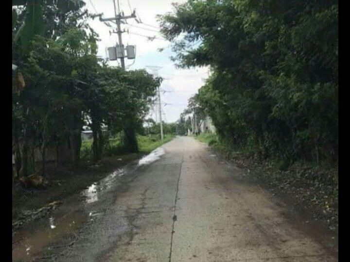 18hectares Silang Cavite Lot For sale