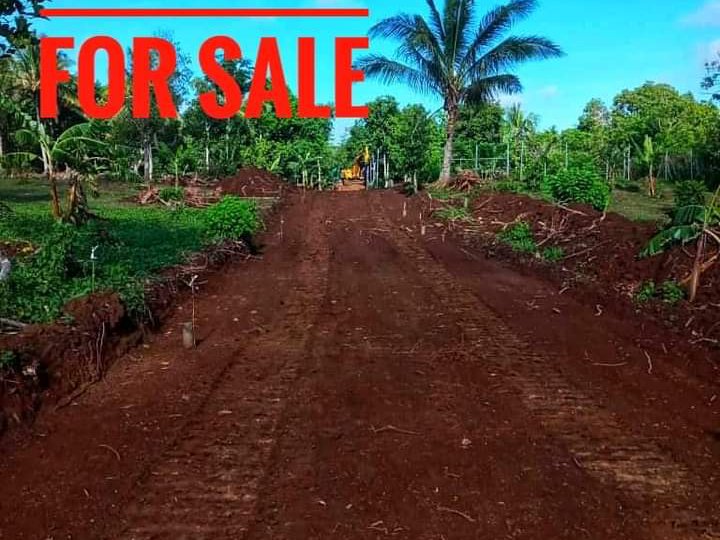 Affordable Lot Farm in Silang Cavite