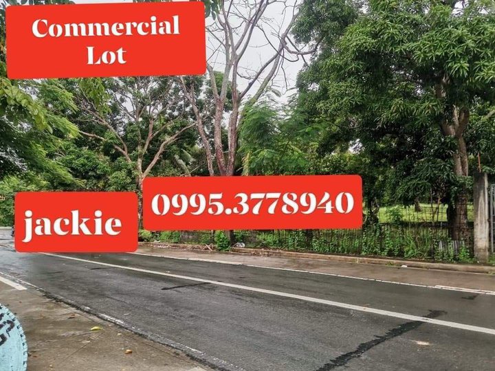 Commercial & Residential Lot Tanay Rizal
