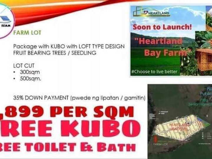 Farmlot for sale with free kubo