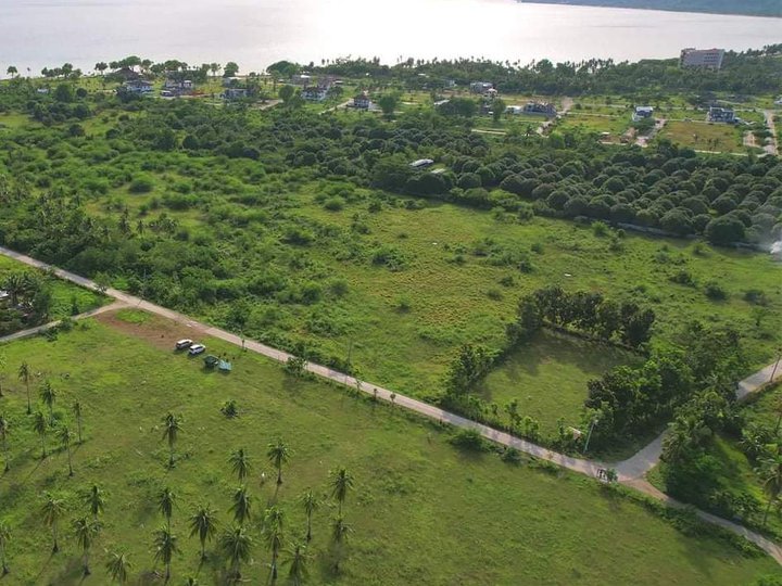 lot for sale in laiya bantangas. perfect for vacation!