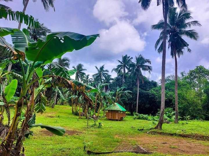 FARM LOT IN MAGALLANES CAVITE