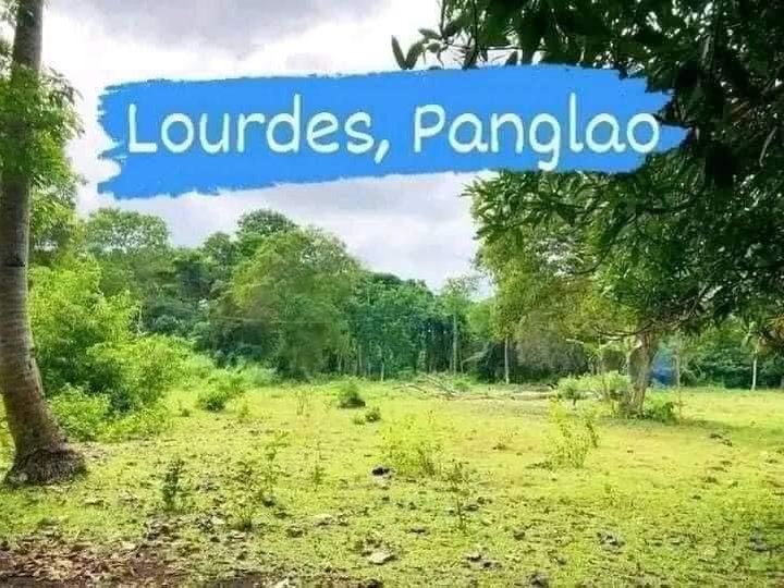 Affordable Installment Lot for Sale in Panglao Island Bohol