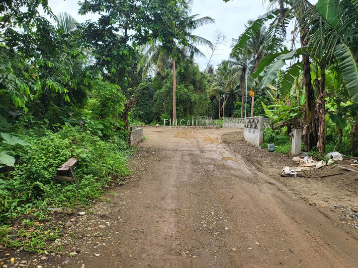 Farm lot in Alfonso Cavite for sale 500 sqm- good location