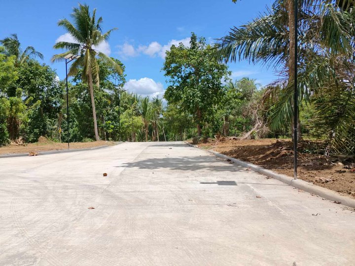 Farm lot with fruits bearing and fertile soil