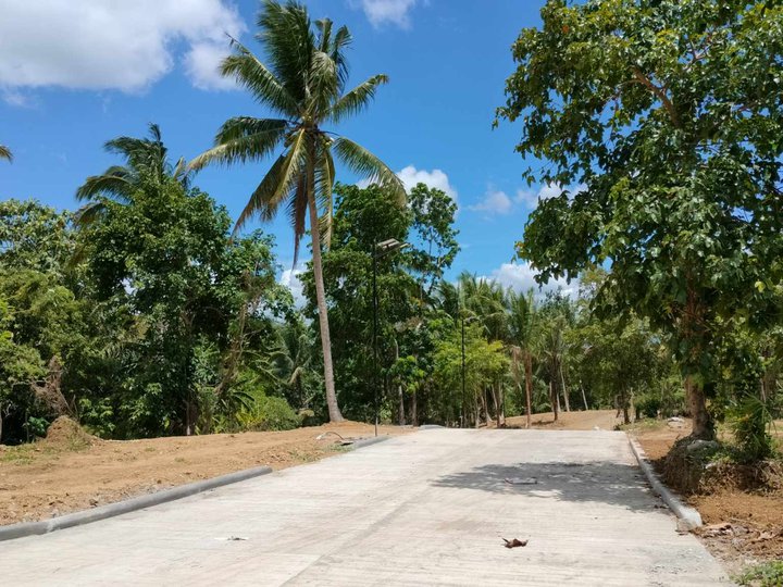 FARM LOT FOR SALE WITH CEMENTED ROAD AND COLD WEATHER