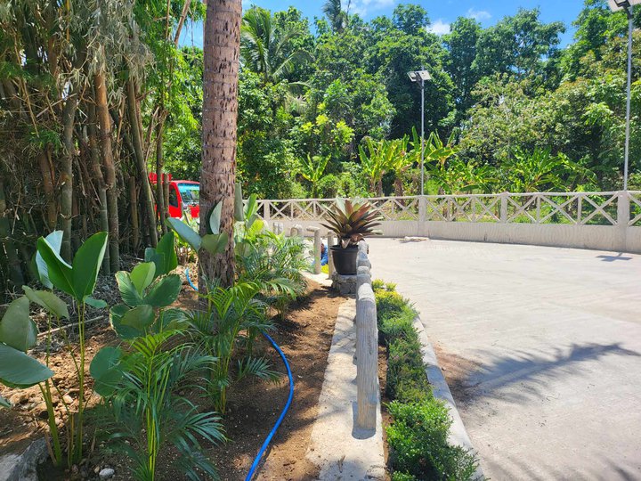 Farm lot with fruits bearing