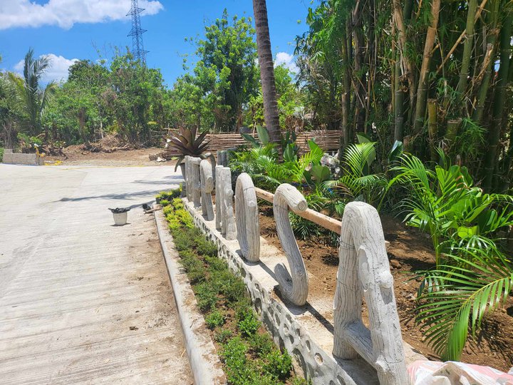 Farm lot near Twin lakes Tagaytay